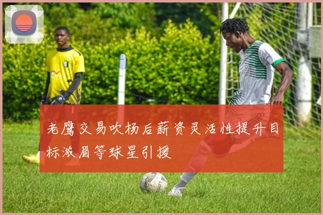 老鹰交易吹杨后薪资灵活性提升目标浓眉等球星引援
