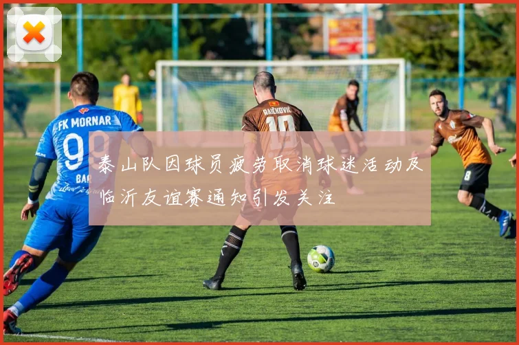 泰山队因球员疲劳取消球迷活动及临沂友谊赛通知引发关注