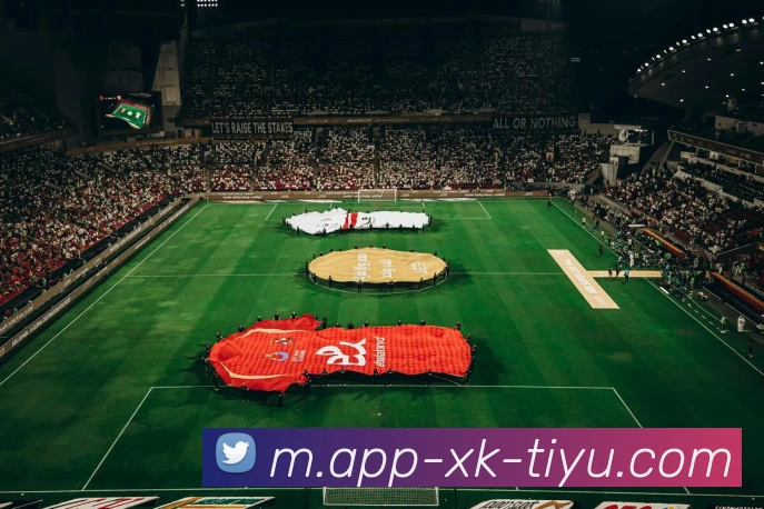 星空体育平台生态图