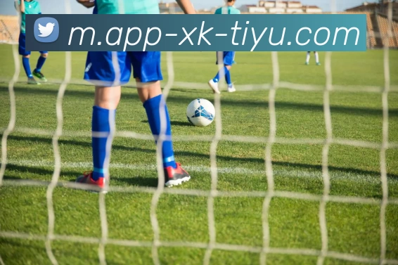 星空体育APP 封面图